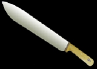 &nbsp