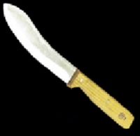 &nbsp