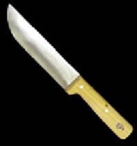 &nbsp