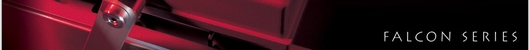 &nbsp