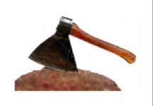 &nbsp